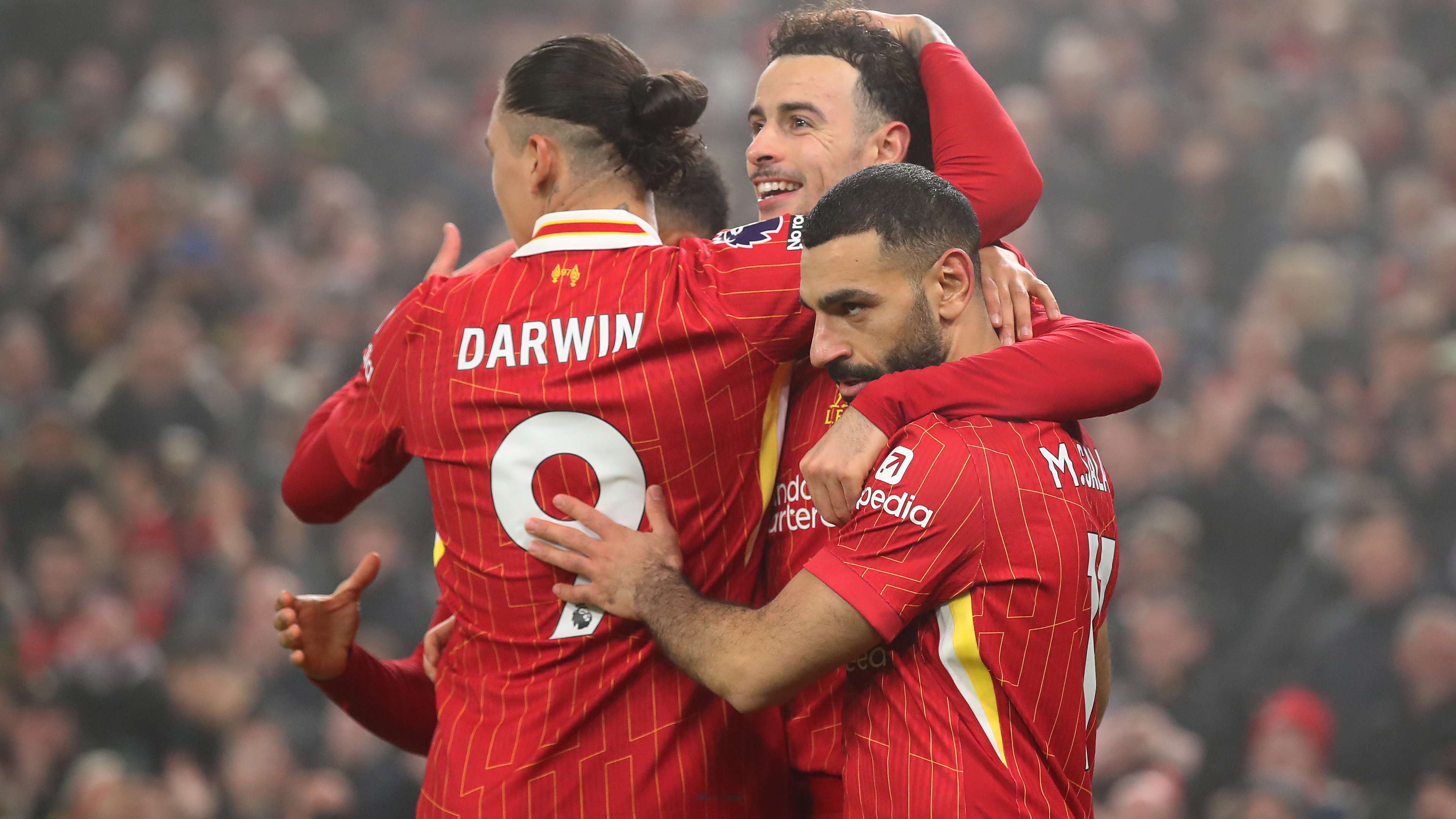 纷在此展现 纷在此展现